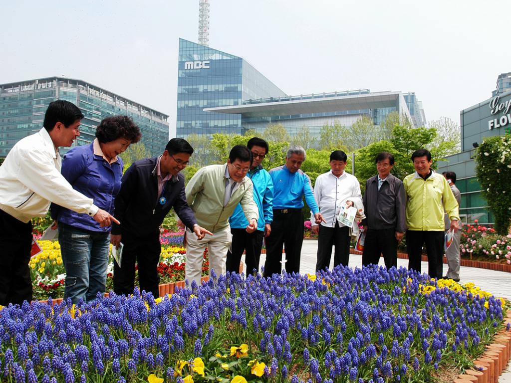 2008년도 상반기 비교견학