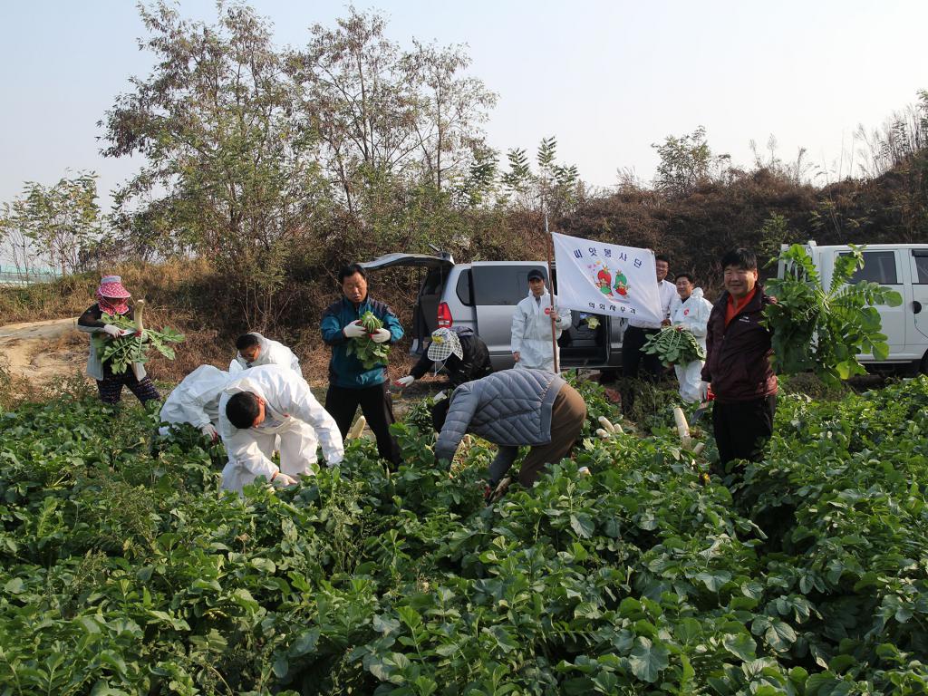 의원 및 직원 농촌일손돕기