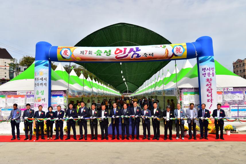 음성인삼축제