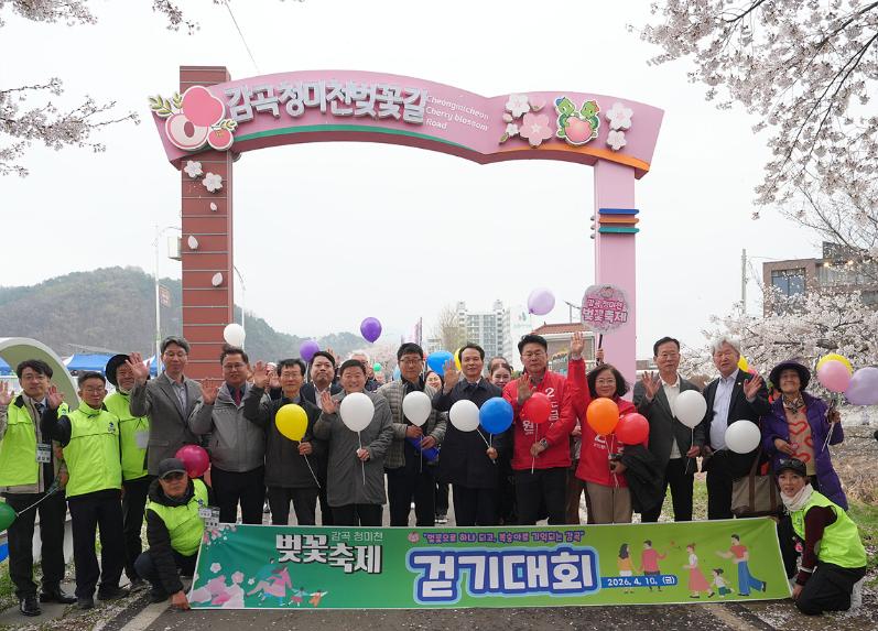 감곡 벚꽃축제